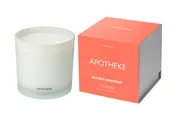 3-Wick Candle 32oz SS Gpfrt