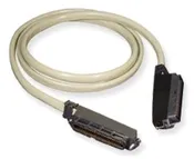 100 ft Female to Female 25 Pair Amphenol Cable