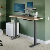 Ergo Electric Standing Desk 54x26