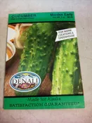 DENALI Cucumber Morden Early