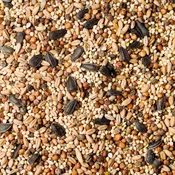 70-30 Seed Blend