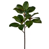 24" Magnolia Leaf Branch