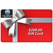 $200.00 Gift Certificate
