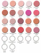 Powder Blush Highlight Colors