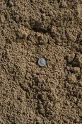 Plaster Sand