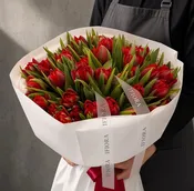 Aksamitny świt — jednogatunkowy bukiet tulipanów