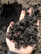 Fill Soil