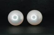 10 Millimeter Pearl Studs
