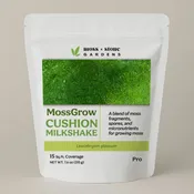 Cushion Moss Milkshake | For Growing Leucobryum glaucum