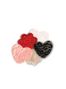 Cover Ups Lace Pasties