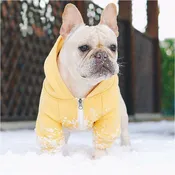 Beache Dog Hoodie