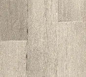 BV0009