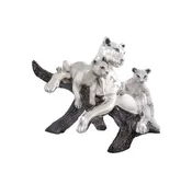 Family of Pumas