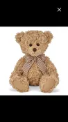 Classic Teddy Bear