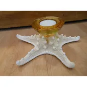 Amber Glass Knobby Starfish Candle Holder — Candy's Cottage