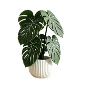 3D Printed Monstera Plant-Vase-Leaf Coaster Set 💝