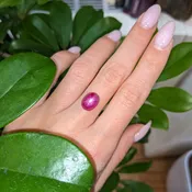 6.05ct Certified No Heat Burma Cabochon Ruby