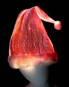 LED CHRISTMAS HAT