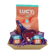 Cat Bowl Gift Basket – Salmon, Pumpkin & Quinoa