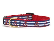Anchors Away Teacup Collar