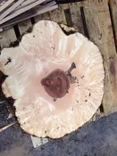 Maple Burl - Highly Figured - Live Edge
