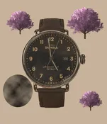Shinola Canfield 43mm — Farm & Home