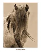 Freedom by Lisa Dearing