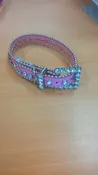 Baby Pink Bling Collar