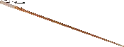 Staff