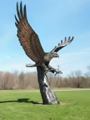 Bronze Flying Eagle