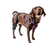 Cruciate Care Dog Knee Brace