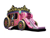 4N1 Princess Carriage