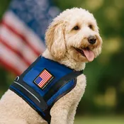 Disabled Veteran Mesh Vest for Large Dogs – American Flag Patch