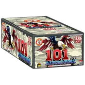 101ST AIRBORNE