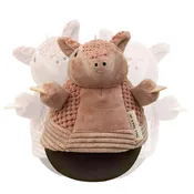 Armadillo Roly Poly  9"