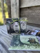 Stoney Mountain Farm Stationery | Stoney Mountain Farm