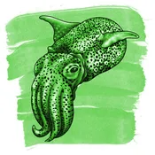 Anderillium Cephalopod Ink - Bobtail Squid Green - 1.5 oz