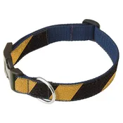 Academy Black and Gold - Dog Collar