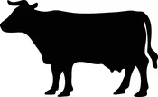 Only Dog Beef