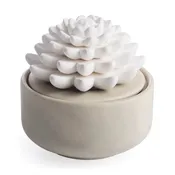 Airome Diffuser Succulent w/ 15 mL Peppermint Essential Oil