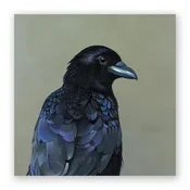 10 x 10 Crow Wings on Wood Decor