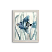 blue kelp fish 02