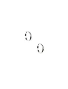 32MM Medium Click It Hoop Earrings