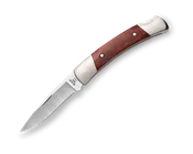 501 Squire Buck Knife