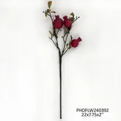 #5 Burnished Pomegranate Branch Ruby