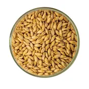 2-Row Malt - Rahr