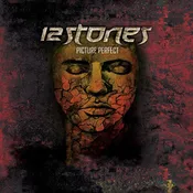 12 Stones- Picture Perfect (Vinyl)