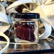 Muskrat Heart Wet Specimen — Rest in Pieces