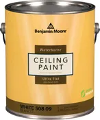 Celing Paint