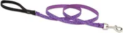 1/2in Jelly Roll 6ft Leash